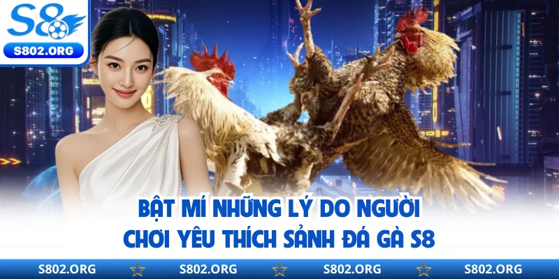 Bật mí những lý do người chơi yêu thích sảnh đá gà S8