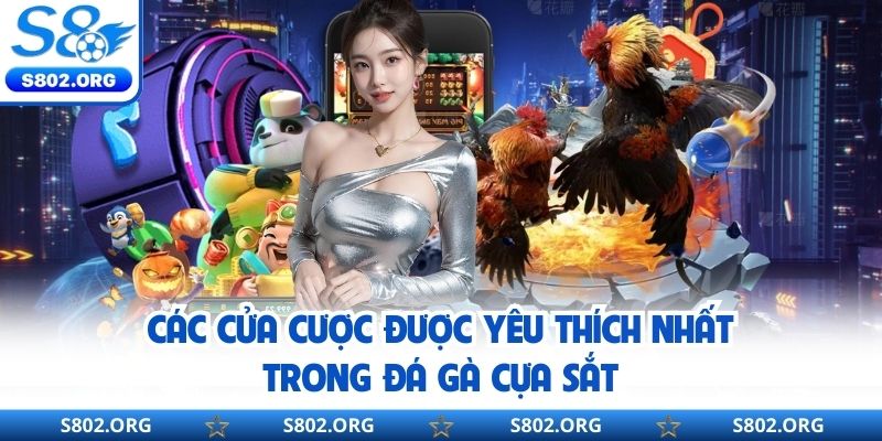 Các cửa cược được yêu thích nhất trong đá gà cựa sắt