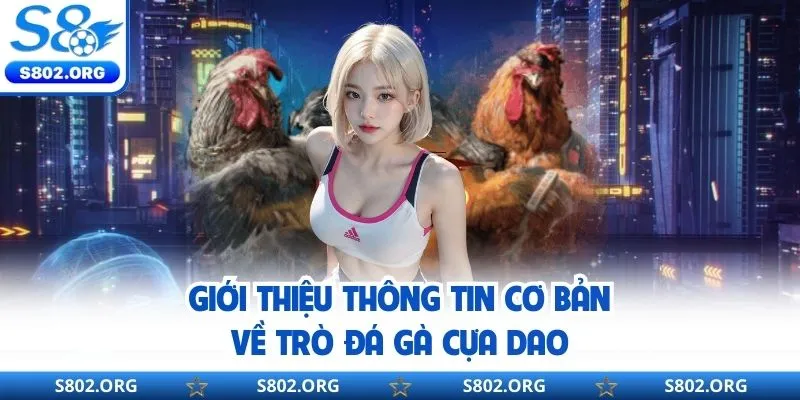Khái quát thông tin về thể loại đá gà cựa dao