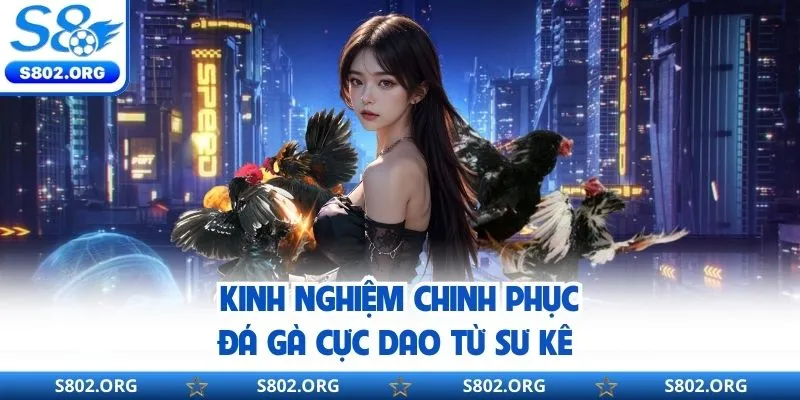 Bí quyết làm chủ sới cược đá gà cựa dao từ cao thủ lão làng