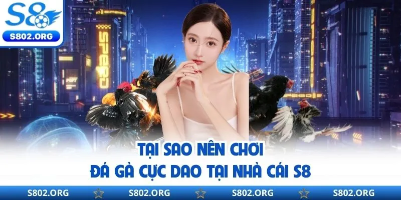 Lý do nên chơi đá gà cựa dao tại hệ thống cá cược s8