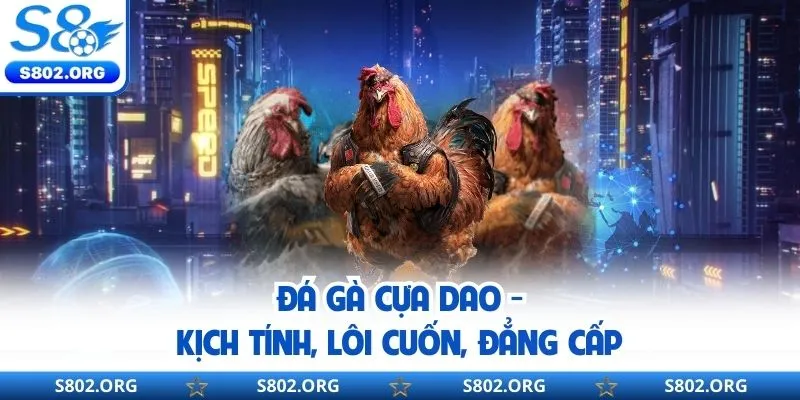 Đá Gà Cựa Dao S8 - Lựa Chọn Cá Cược Top 1 Năm 2026
