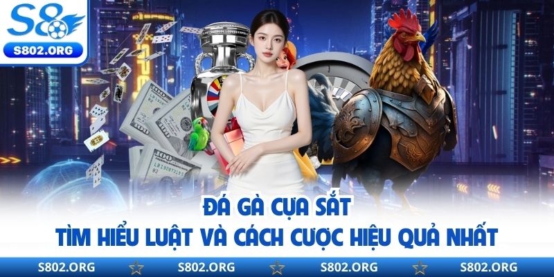 Đá Gà Cựa Sắt - Tìm Hiểu Luật Và Cách Cược Hiệu Quả Nhất
