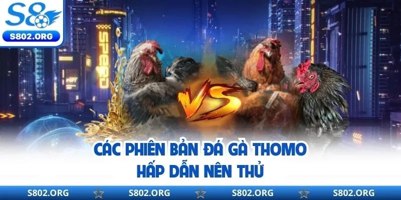 Các thể loại đá gà thomo cực hấp dẫn