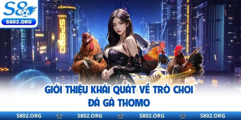 Giới thiệu thông tin cơ bản về trò chơi đá gà thomo