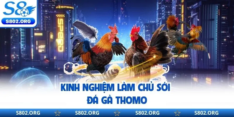 Kinh nghiệm chơi đá gà thomo từ cao thủ lão làng s8