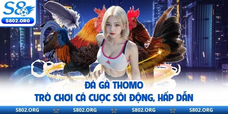 Đá Gà Thomo - Trò Chơi Cá Cược Sôi Động Đầy Kịch Tính