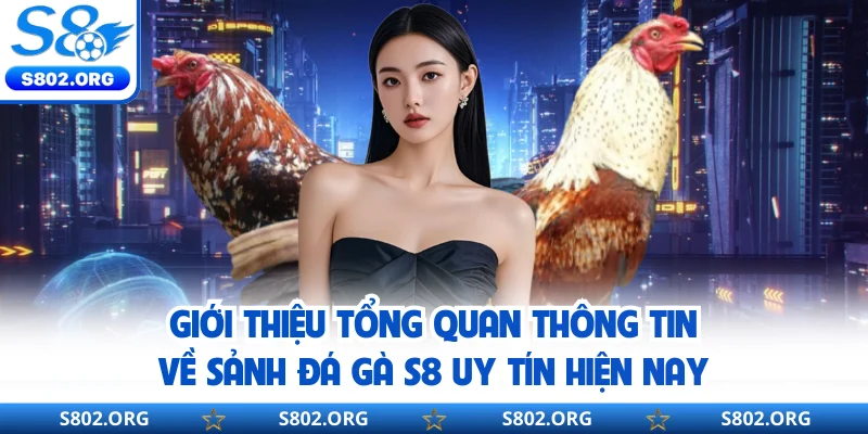 Giới thiệu tổng quan thông tin về sảnh đá gà S8 uy tín hiện nay