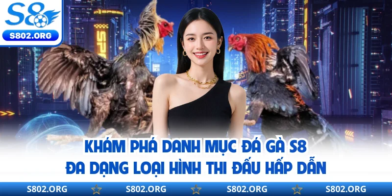 Khám phá danh mục đá gà S8 đa dạng loại hình thi đấu hấp dẫn