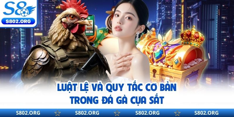 Luật lệ và quy tắc cơ bản trong đá gà cựa sắt