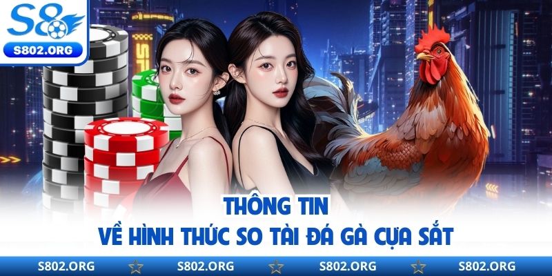 Thông tin về hình thức so tài đá gà cựa sắt